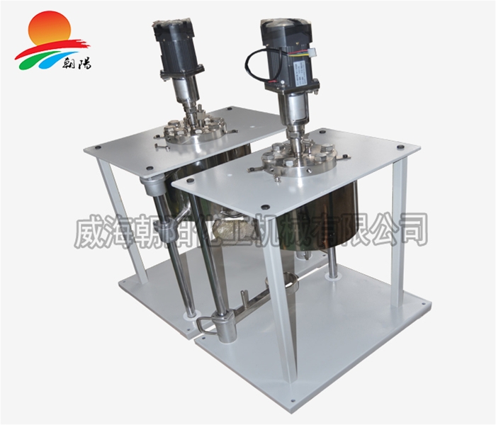 山东0.5L反应釜1