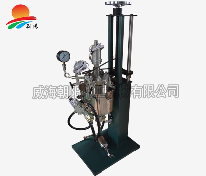 山东2L加氢