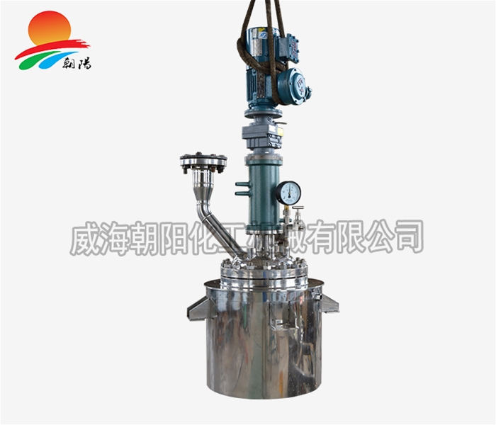 山东20L反应釜