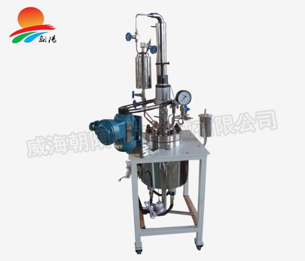 山东5L聚合釜